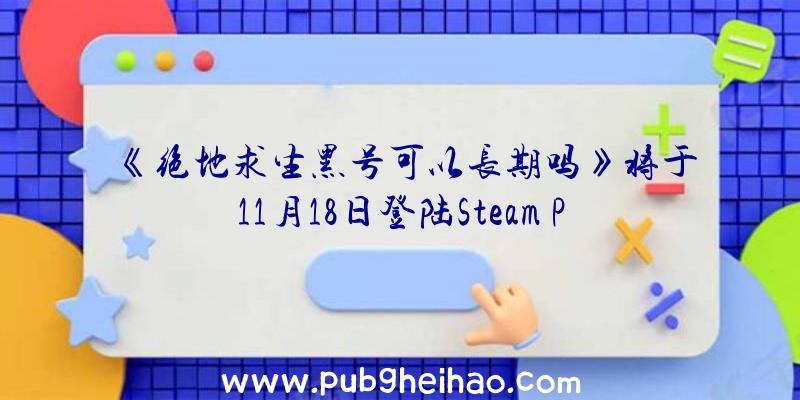 《绝地求生黑号可以长期吗》将于11月18日登陆Steam